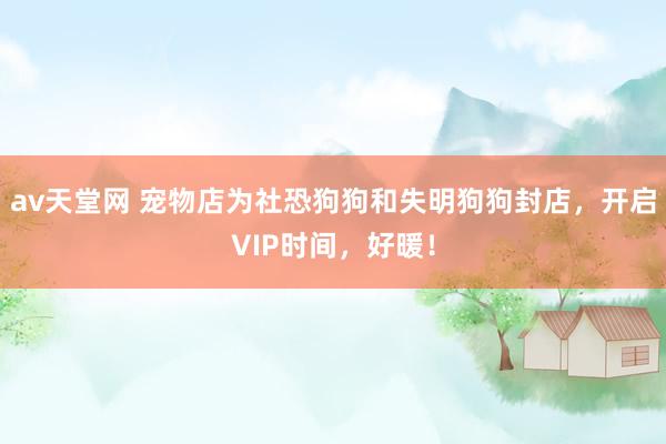 av天堂网 宠物店为社恐狗狗和失明狗狗封店，开启VIP时间，好暖！