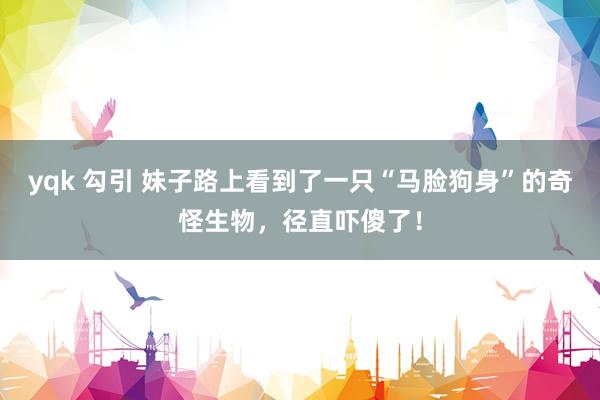 yqk 勾引 妹子路上看到了一只“马脸狗身”的奇怪生物，径直吓傻了！