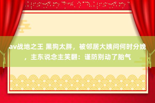 av战地之王 黑狗太胖，被邻居大姨问何时分娩，主东说念主笑翻：谨防别动了胎气