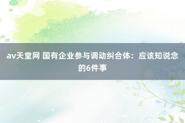 av天堂网 国有企业参与调动纠合体：应该知说念的6件事