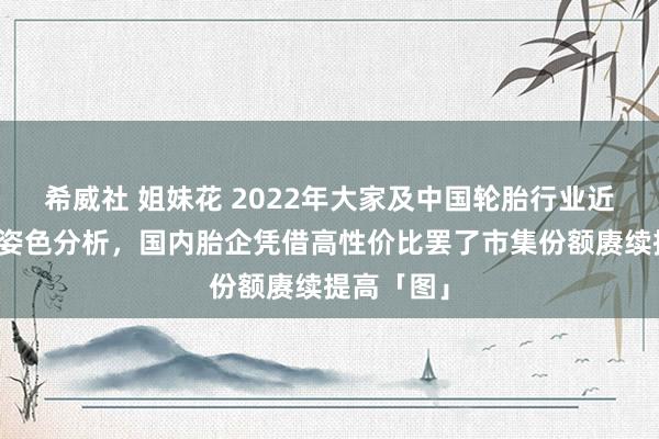 希威社 姐妹花 2022年大家及中国轮胎行业近况及竞争姿色分析，国内胎企凭借高性价比罢了市集份额赓续提高「图」