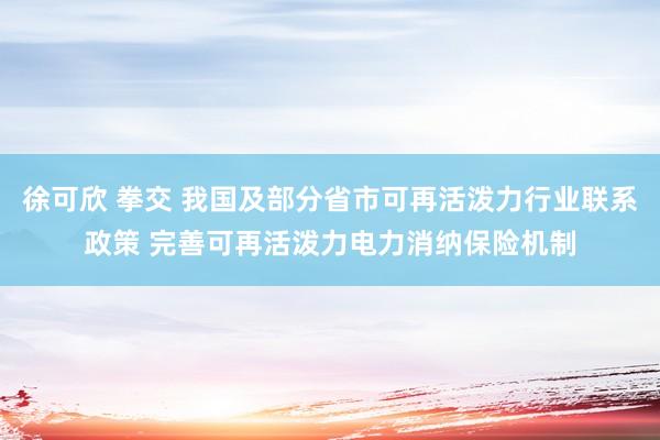 徐可欣 拳交 我国及部分省市可再活泼力行业联系政策 完善可再活泼力电力消纳保险机制