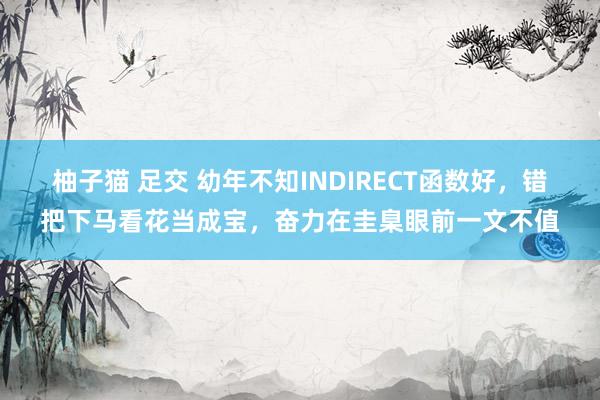 柚子猫 足交 幼年不知INDIRECT函数好，错把下马看花当成宝，奋力在圭臬眼前一文不值